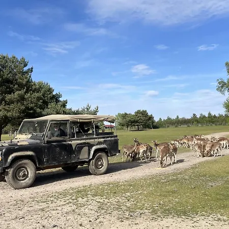 بيت للعطل Safarilodge Am Baerwalder