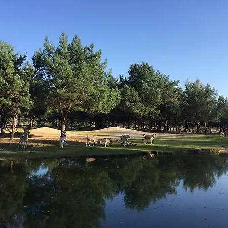 Safarilodge Am Baerwalder Uhyst