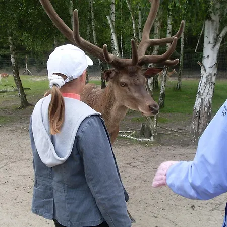 Safarilodge Am Baerwalder * Uhyst