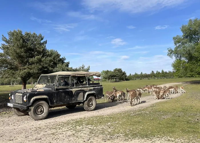 Holiday home Safarilodge Am Baerwalder