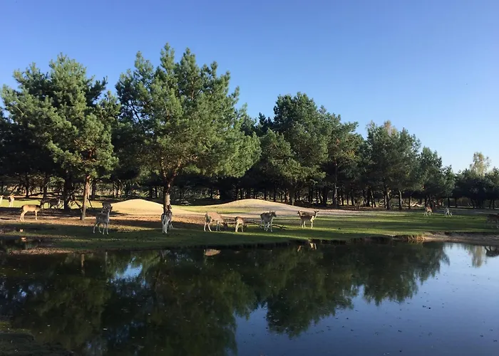 Safarilodge Am Baerwalder Uhyst