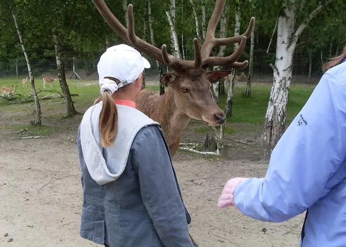 Safarilodge Am Baerwalder * Uhyst